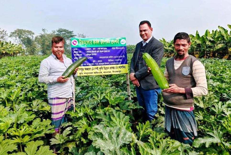 স্কোয়াশ চাষে স্বপ্ন বুনছেন খানসামার কৃষক