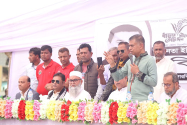 ব্রাহ্মণবাড়িয়ায় ধানের শীষের পক্ষে দিনব্যাপী বিএনপির প্রচারণা