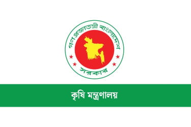 দেশের শস্য ভাণ্ডারে যুক্ত হলো ছয়টি নতুন ধানের জাত