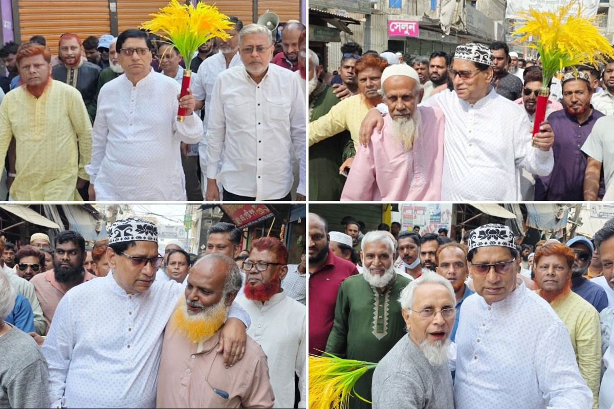 গণতন্ত্র প্রতিষ্ঠায় বিএনপির বিকল্প নেই : নবীউল্লাহ নবী