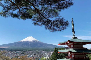 পর্যটকের চাপে জাপানের মাউন্ট ফুজি চেরি ব্লসম উৎসব বাতিল