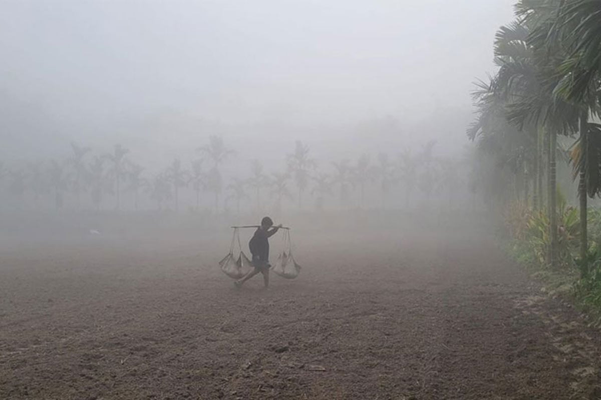 মাঘের শেষে কি আসবে শৈত্যপ্রবাহ?