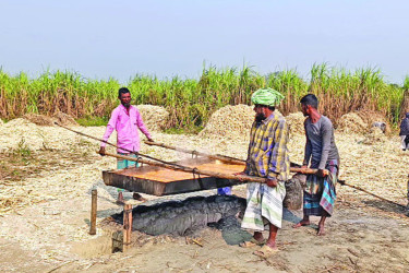 আখ চাষির মুখে হাসি
