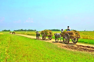 পালটে গেছে পৃথিবীর জলবায়ু