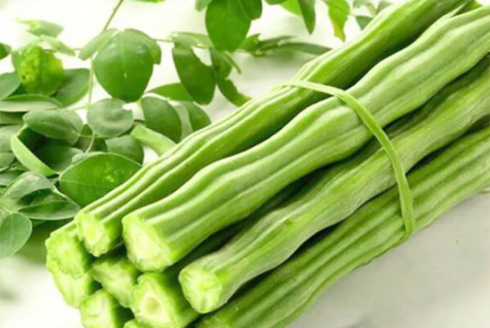 ডায়াবেটিস নিয়ন্ত্রণে শজনে ডাঁটা