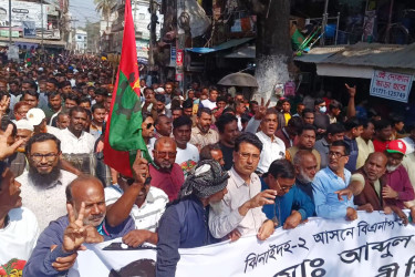 ঝিনাইদহ-২ আসনে বিএনপি প্রার্থীর শেষ নির্বাচনী গণমিছিল