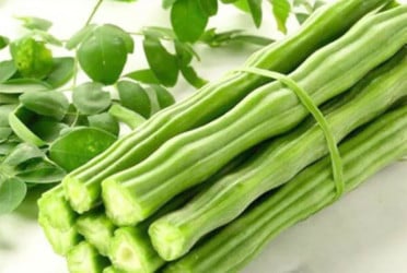 ডায়াবেটিস নিয়ন্ত্রণে শজনে ডাঁটা