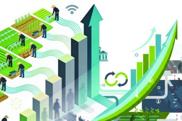 কৃষিঋণে গতি বাড়লেও নজরদারি এখন চ্যালেঞ্জ