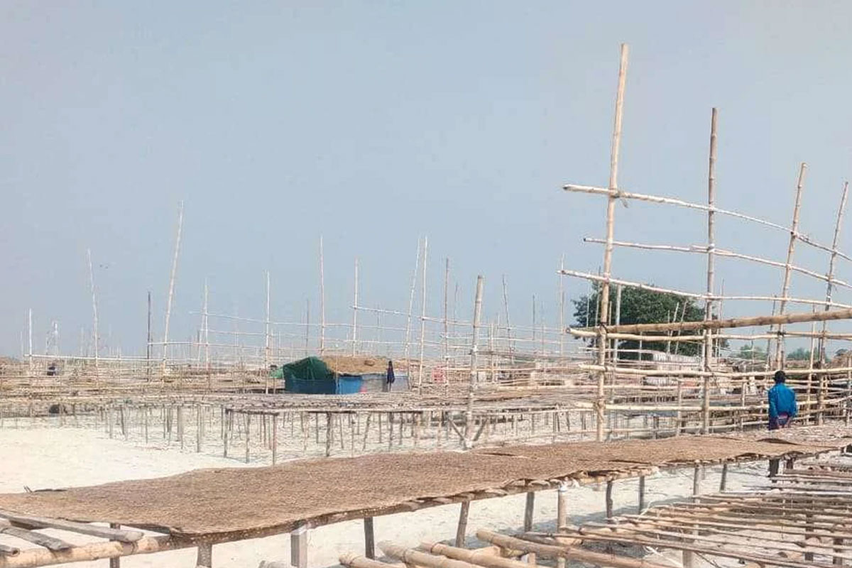 ভোটের টানে লোকালয়ে জেলেরা: জনশূন্য দুবলার শুঁটকি পল্লী