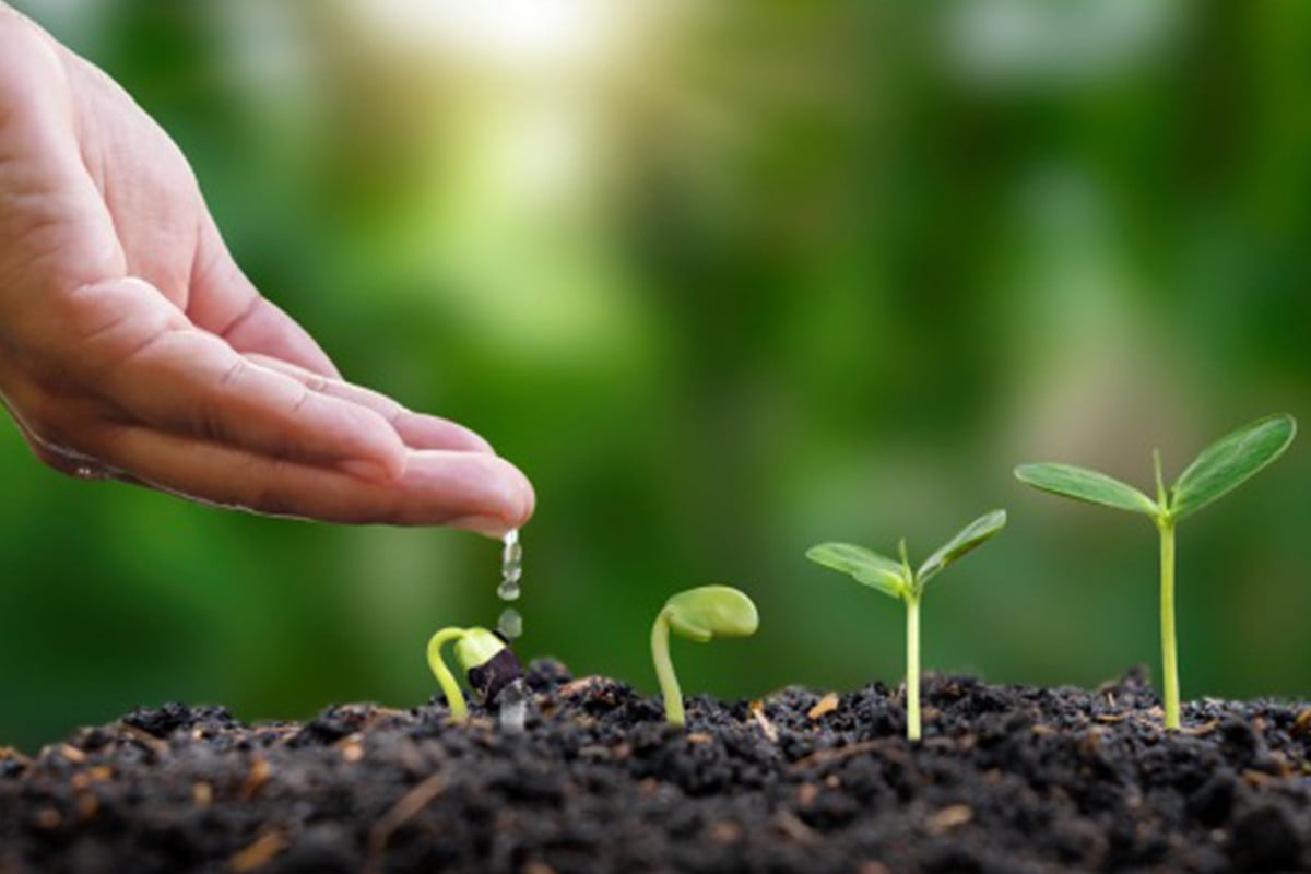 জীবনের পথে অপেক্ষা নয়, প্রয়োজনের সময়েই আর্থিক সুরক্ষা