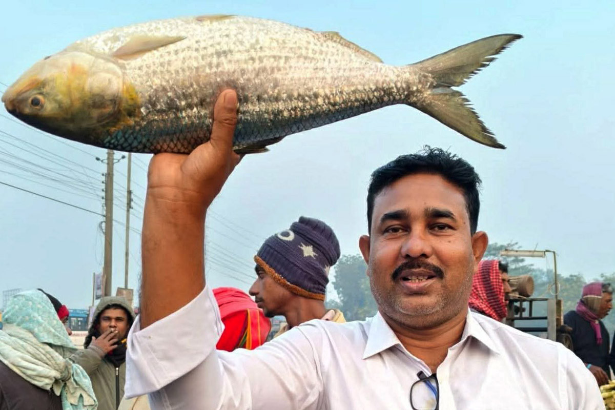 এক ইলিশ বিক্রি হল ১০ হাজার টাকায়