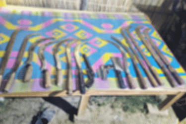 দৌলতপুরে বিজিবির অভিযানে অস্ত্র ও গুলি উদ্ধার