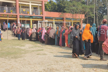 রাজবাড়ীতে প্রথম চার ঘণ্টায় ভোট পড়েছে ৩৫–৩৭ শতাংশ