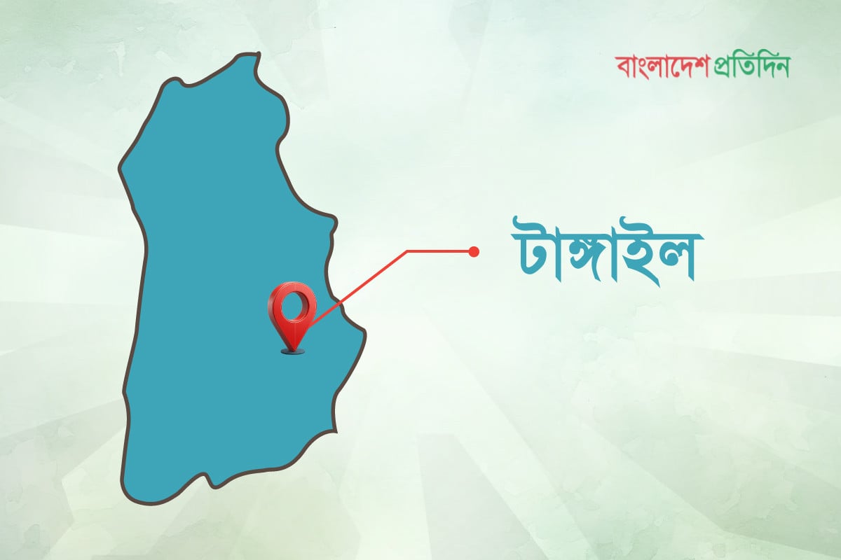 টাঙ্গাইলের আটটি আসনের সাতটিতে বিএনপির জয়