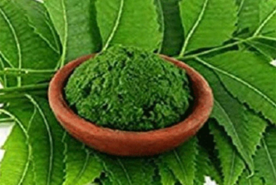 কৃমি নির্মূল করে যে পাতার রস