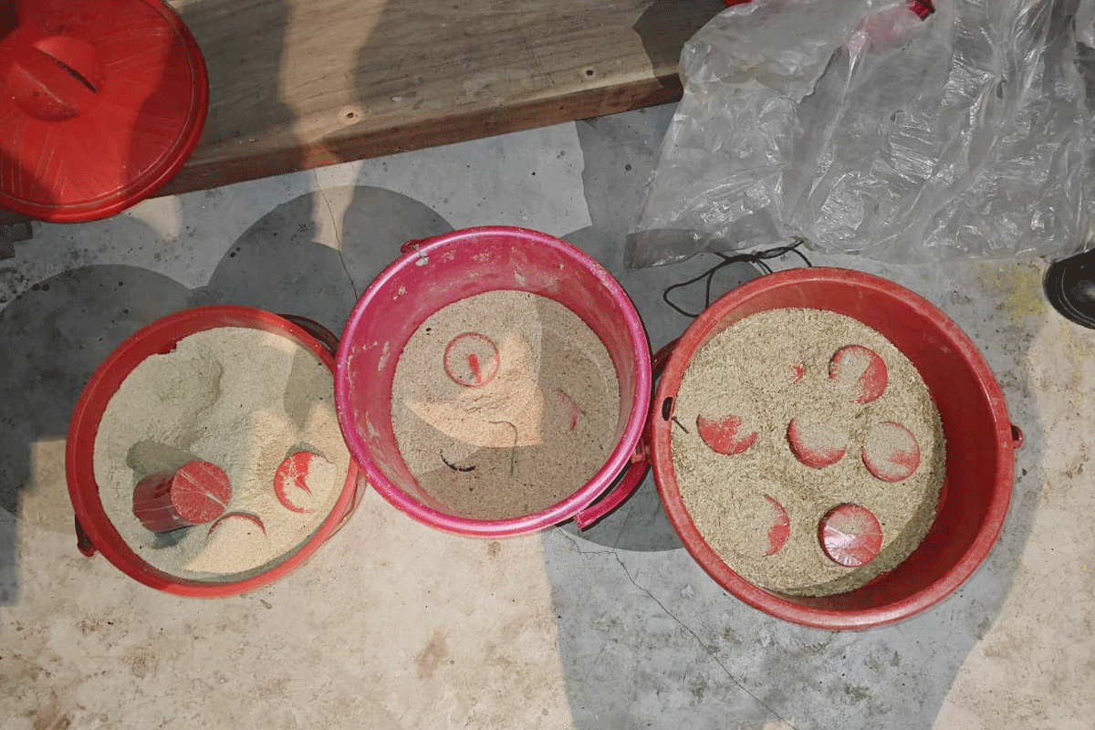 মোল্লাকান্দিতে পরিত্যক্ত দোকান থেকে ককটেল উদ্ধার