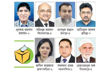 বিএনপির সাত বিদ্রোহী জয়ী