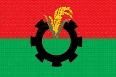 দেশের বড় অংশে বিএনপির একচ্ছত্র আধিপত্য