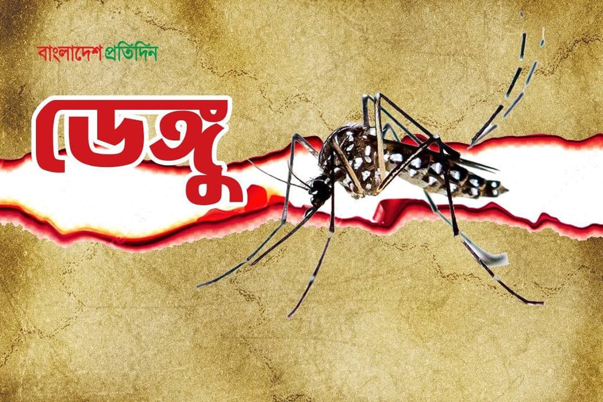ডেঙ্গুতে আক্রান্ত হয়ে হাসাপাতালে ভর্তি ৩১
