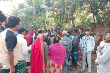 নওগাঁয় খাসির মাংসের নামে ‘কুকুরের মাংস’ বিক্রির অভিযোগ