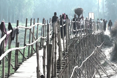 ঝুঁকি নিয়ে সাঁকো পারাপার, মানিকগঞ্জে সেতুর দাবিতে দীর্ঘ অপেক্ষা