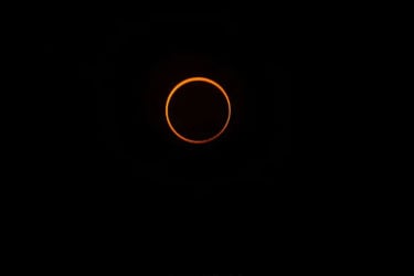সূর্যগ্রহণ ঘিরে গুগলের বিশেষ অ্যানিমেশন