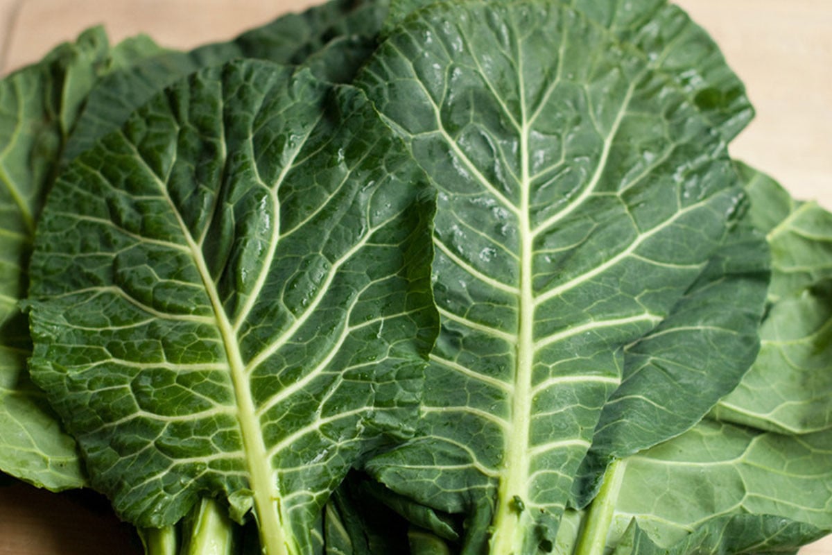 হাড়ের স্বাস্থ্যের জন্য উপকারী যে শাক