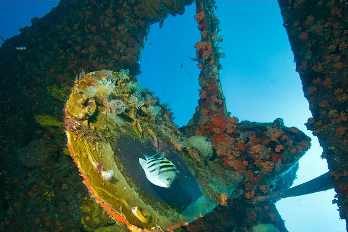 ১৫০ বছর পর মিলল ডুবে যাওয়া জাহাজের সন্ধান