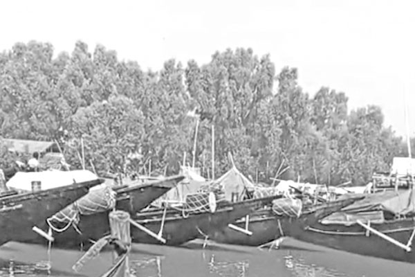 বনদস্যু তাণ্ডব, মাছ ধরা বন্ধ