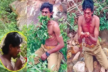 বিয়ে থেকে বাঁচতে বনবাস, পাতা খেয়েই খান বানালেন ‌‘সিক্স প্যাক’