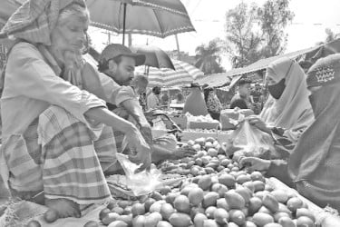 এক দিনে দ্বিগুণ লেবুর দাম