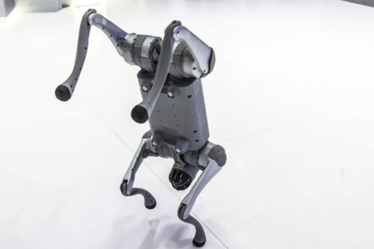 চীনের তৈরি রোবটকে নিজেদের দাবি, এআই সামিট থেকে বাদ ভারতীয় বিশ্ববিদ্যালয়