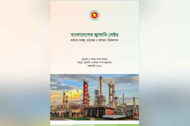 ১০০ দিনের কর্মপরিকল্পনা দিল বিদ্যুৎ ও জ্বালানি মন্ত্রণালয়