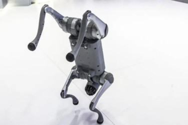 চীনের তৈরি রোবটকে নিজেদের দাবি, এআই সামিট থেকে বাদ ভারতীয় বিশ্ববিদ্যালয়