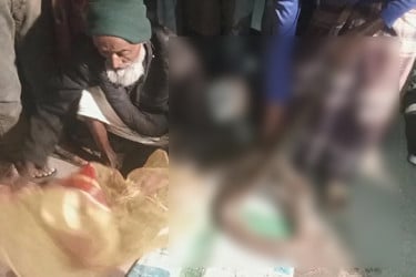 শরণখোলায় মাছের ঘের থেকে ১২ ফুট অজগর উদ্ধার