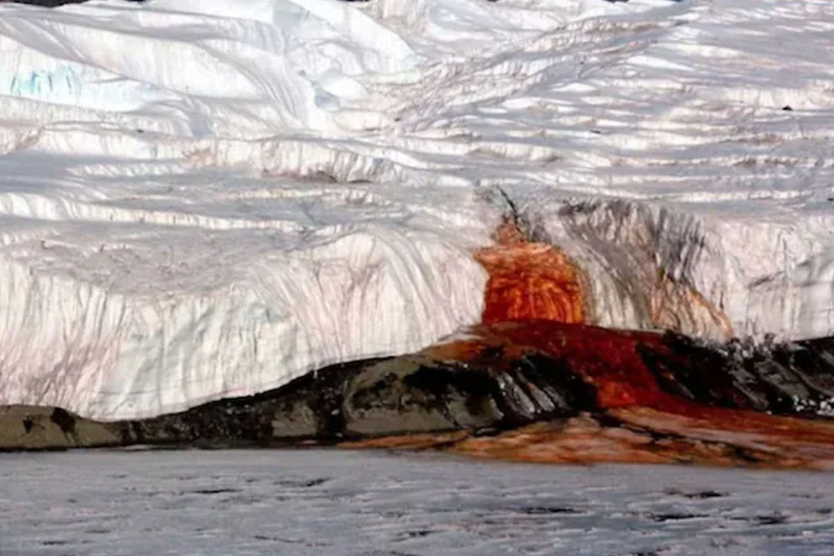 অ্যান্টার্কটিকার ‘রক্তঝরা জলপ্রপাত’ নিয়ে নতুন রহস্য উন্মোচন