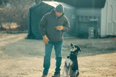 একটি ইট যেভাবে বহু বছর নির্যাতিত শিশুর সন্ধান দিল গোয়েন্দাদের
