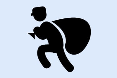 গৃহকর্মীর ছদ্মবেশে চুরিই ছিল পেশা