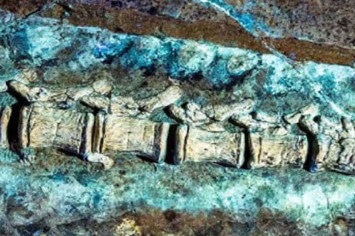 চীনে মিলল কাঁটায় ঢাকা ডাইনোসর