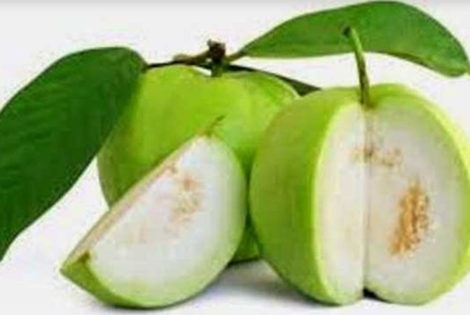 ইফতারে স্বাস্থ্যকর ফল পেয়ারা