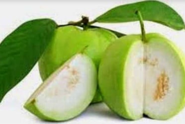 ইফতারে স্বাস্থ্যকর ফল পেয়ারা