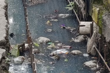 নীলফামারী পৌর এলাকায় বাড়ছে মশার উপদ্রব, কার্যকর পদক্ষেপের দাবি