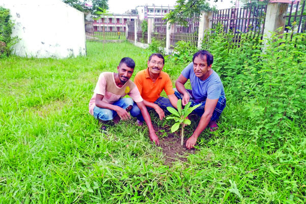 গাছের প্রতি গভীর ভালোবাসা