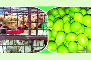লেবু-বেগুন ঊর্ধ্বমুখী, কমেছে মুরগির দাম