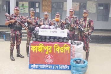 কুষ্টিয়া সীমান্তে বিপুল পরিমাণ ভারতীয় পণ্য জব্দ