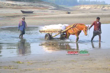 যমুনা নদীর নাব্যতা সংকটে পণ্য পরিবহনে ভরসা ঘোড়ার গাড়ি