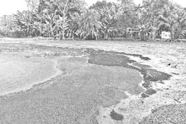 বর্জ্যে বিপর্যস্ত পরিবেশ