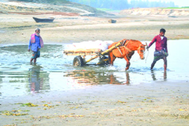 বগুড়ায় খাঁখাঁ যমুনার বুকে ঘোড়ার গাড়ি
