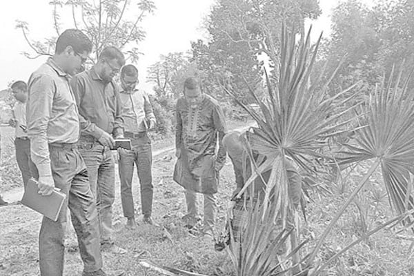 পোকার আক্রমণে মারা গেছে ২০০০ তাল গাছ