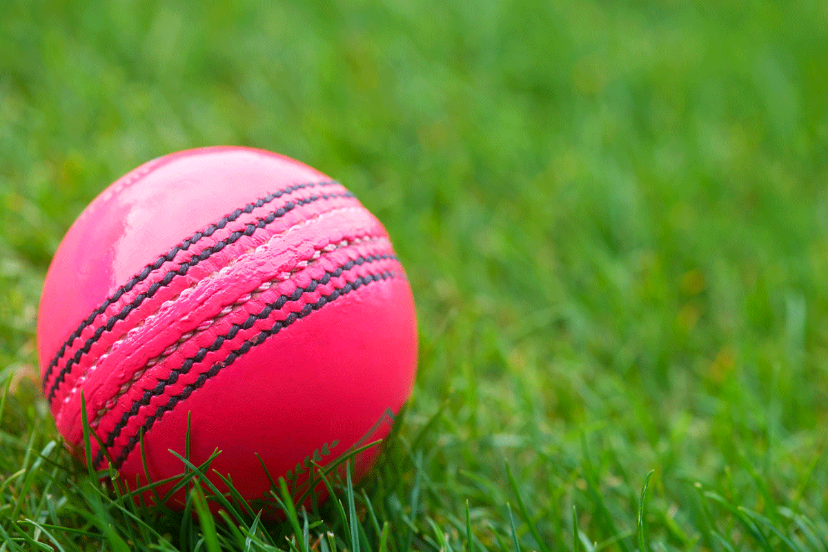 অ্যাশেজ থেকে উঠে যাচ্ছে গোলাপি বলের টেস্ট